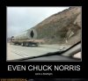 Chuck-Norris.jpg