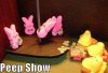 funny-easter-gallery-27.jpg