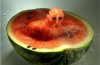 funny-watermelon.jpg