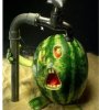 funny-watermelon-pictures.jpg