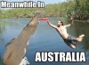 Meanwhile-in-Australia-2.jpg