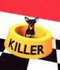 the-tiny-killer-dog.jpg