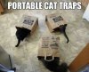 cat-traps.jpg