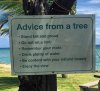 treeadvice.jpg