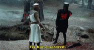 IMG_4707.gif